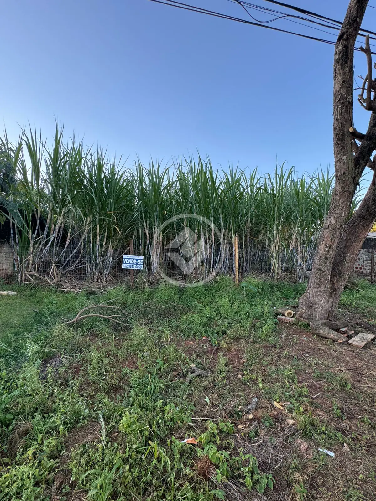 Terreno Universitário, Cascavel - PR — foto 1