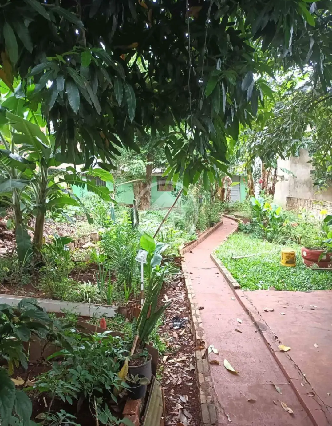 Imagem 4 - Terreno em Centro, Cascavel - PR