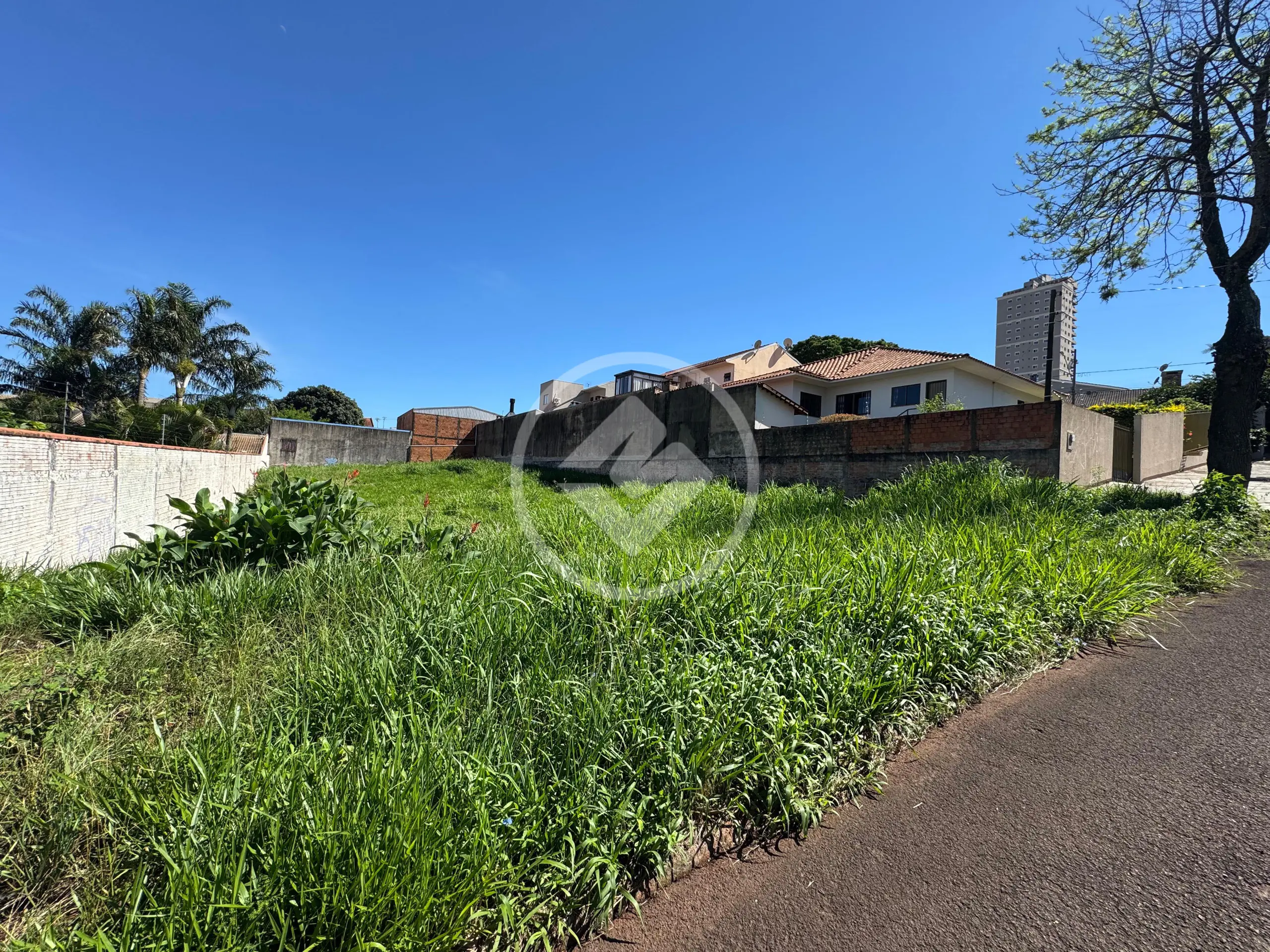 Imagem 2 - Terreno em Country, Cascavel - PR