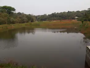 Imagem 6 - Chácara em Universitário, Cascavel - PR