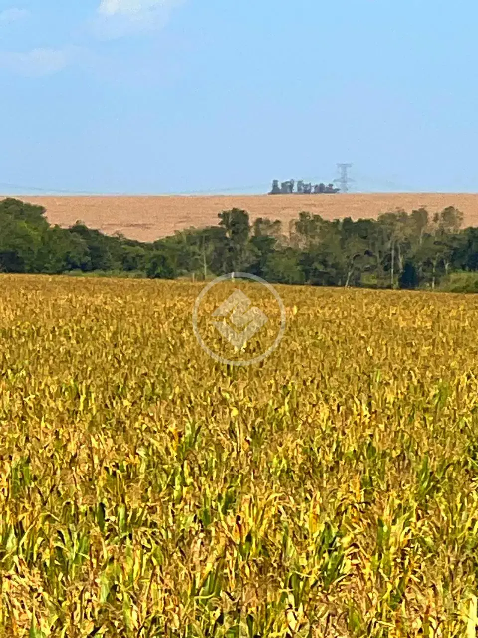 Imagem 5 - Sítio em Centro, Francisco Alves - PR