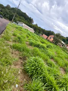 Terreno Centro, Lindoeste - PR — foto 2