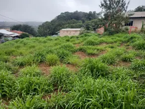 Terreno Centro, Lindoeste - PR — foto 1