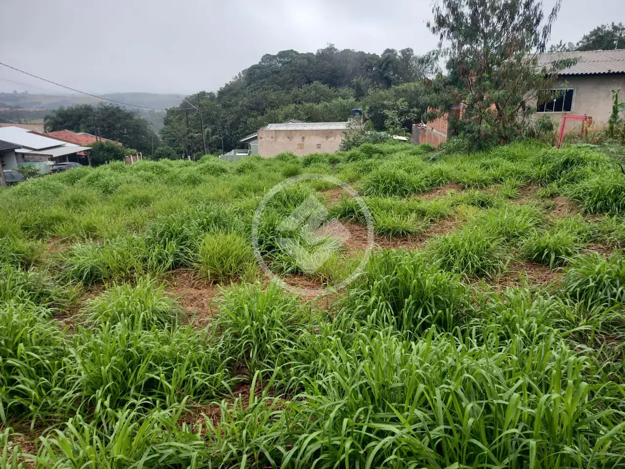 Imagem 1 - Terreno em Centro, Lindoeste - PR
