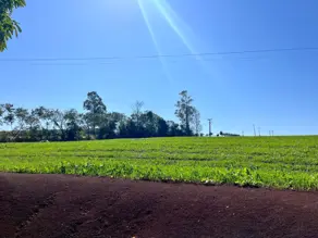 Sítio CENTRO, Cafelândia - PR — foto 2