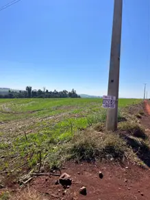Imagem 3 - Chácara em CENTRO, Cafelândia - PR