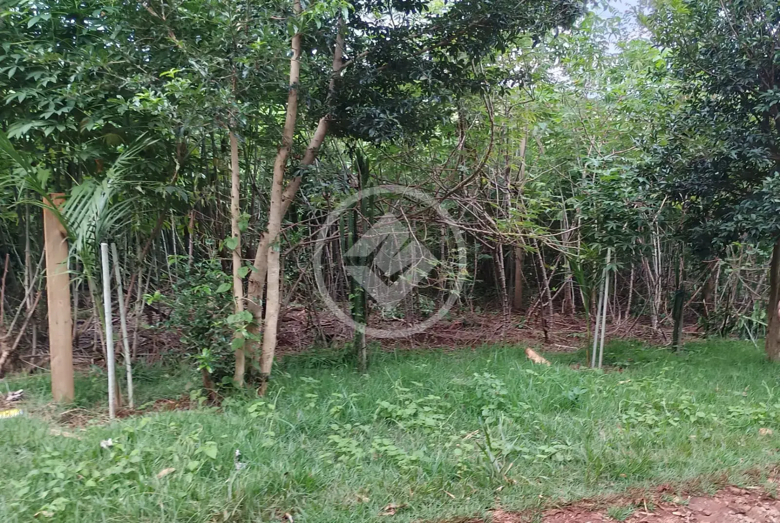 Imagem 4 - Chácara em São Salvador, Cascavel - PR