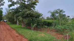 Imagem 5 - Chácara em São Salvador, Cascavel - PR