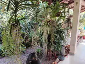 Imagem 6 - Casa em MARIA LUIZA, Cascavel - PR