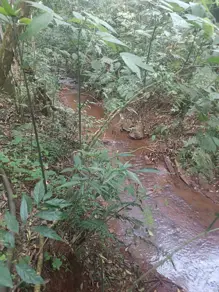 Imagem 4 - Chácara em São João d'Oeste, Cascavel - PR