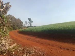 Imagem 5 - Chácara em São João d'Oeste, Cascavel - PR