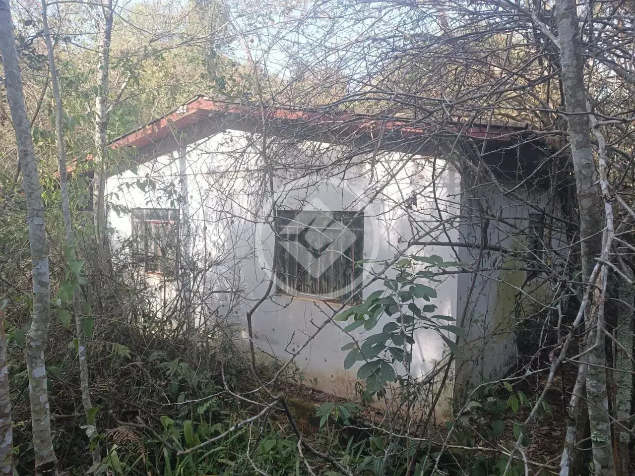 Image 10 - Chácara em São João d'Oeste, Cascavel - PR