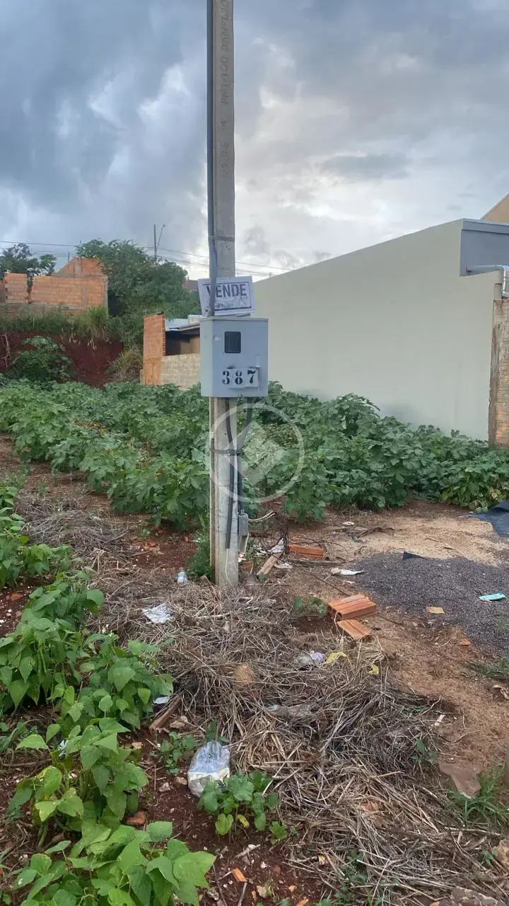 Image 2 - Terreno em Centro, Corbélia - PR