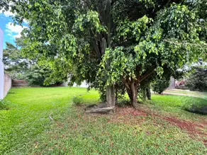 Imagem 5 - Terreno em Recanto Tropical, Cascavel - PR