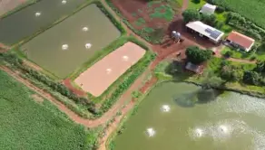 Imagem 5 - Sítio em Centro, São Miguel do Iguaçu - PR