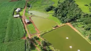 Imagem 4 - Sítio em Centro, São Miguel do Iguaçu - PR