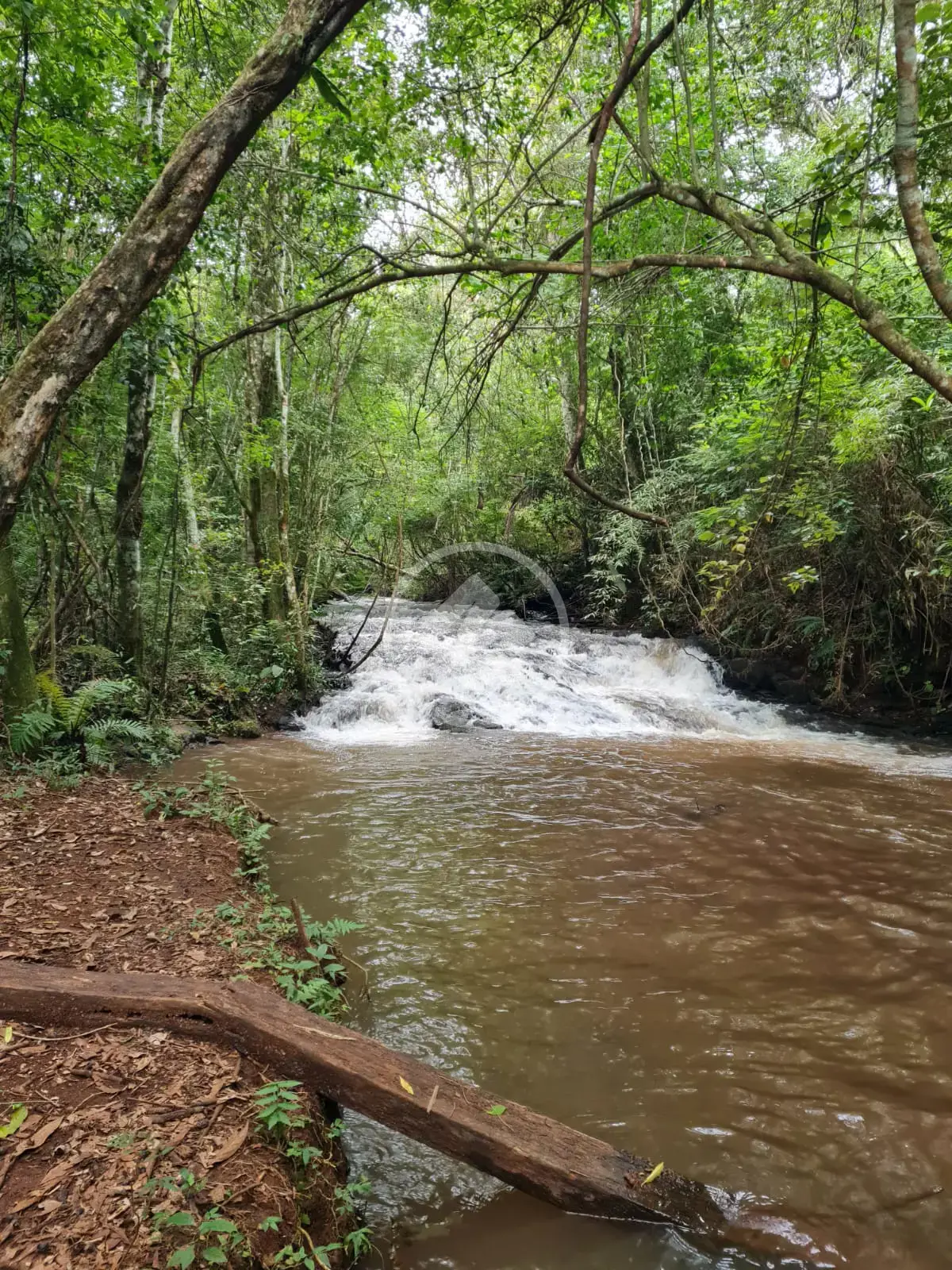 Image 19 - Chácara em São Salvador, Cascavel - PR