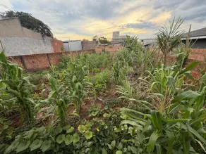 Imagem 2 - Terreno em Cascavel Velho, Cascavel - PR