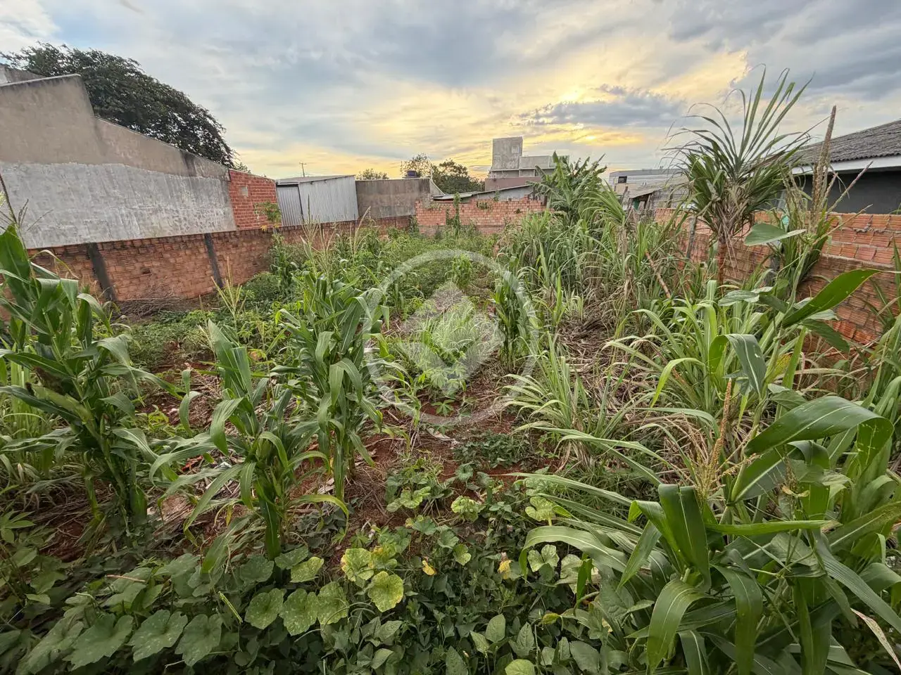 Imagem 2 - Terreno em Cascavel Velho, Cascavel - PR