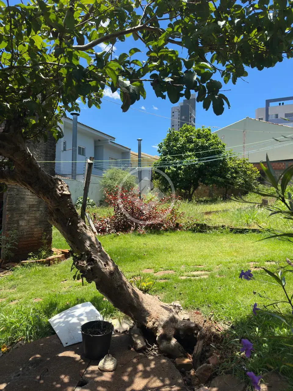 Imagem 5 - Terreno em Centro, Cascavel - PR