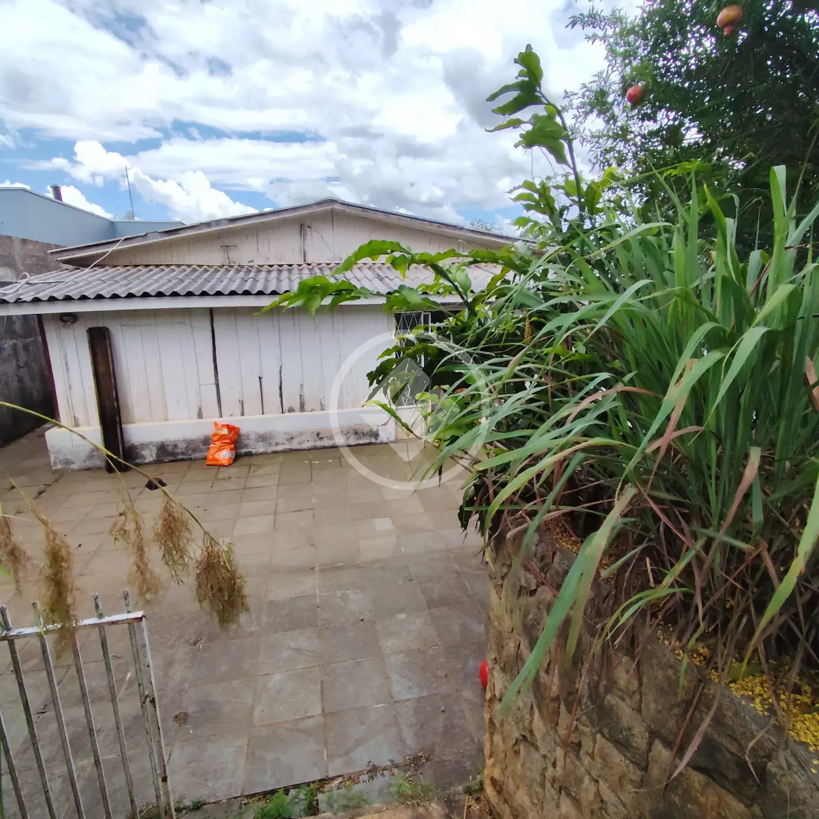 Imagem 6 - Terreno em Neva, Cascavel - PR