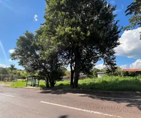 Terreno Comercial Bairro Coqueiral, Cascavel - PR — foto 2