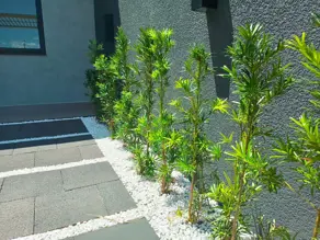 Imagem 3 - Casa em Brazmadeira, Cascavel - PR