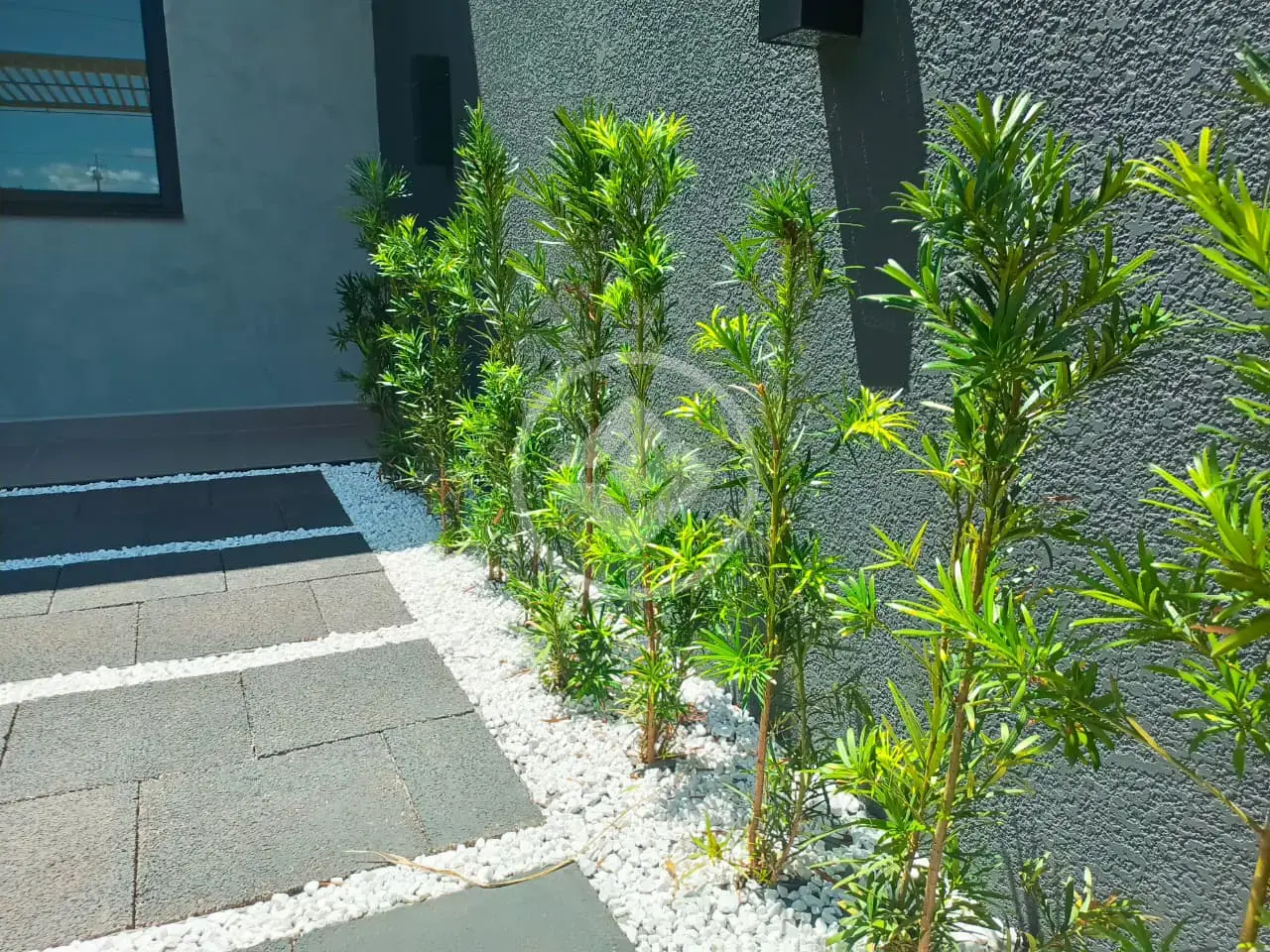 Imagem 3 - Casa em Brazmadeira, Cascavel - PR