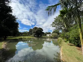 Imagem 6 - Terreno Condomínio em Bairro Coqueiral, Cascavel - PR