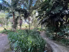 Imagem 4 - Terreno Condomínio em Bairro Coqueiral, Cascavel - PR