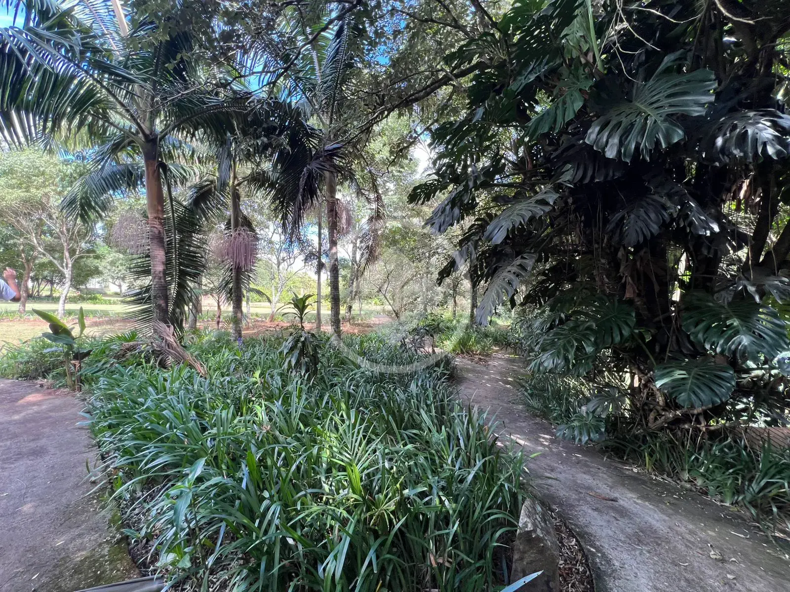 Imagem 4 - Terreno Condomínio em Bairro Coqueiral, Cascavel - PR