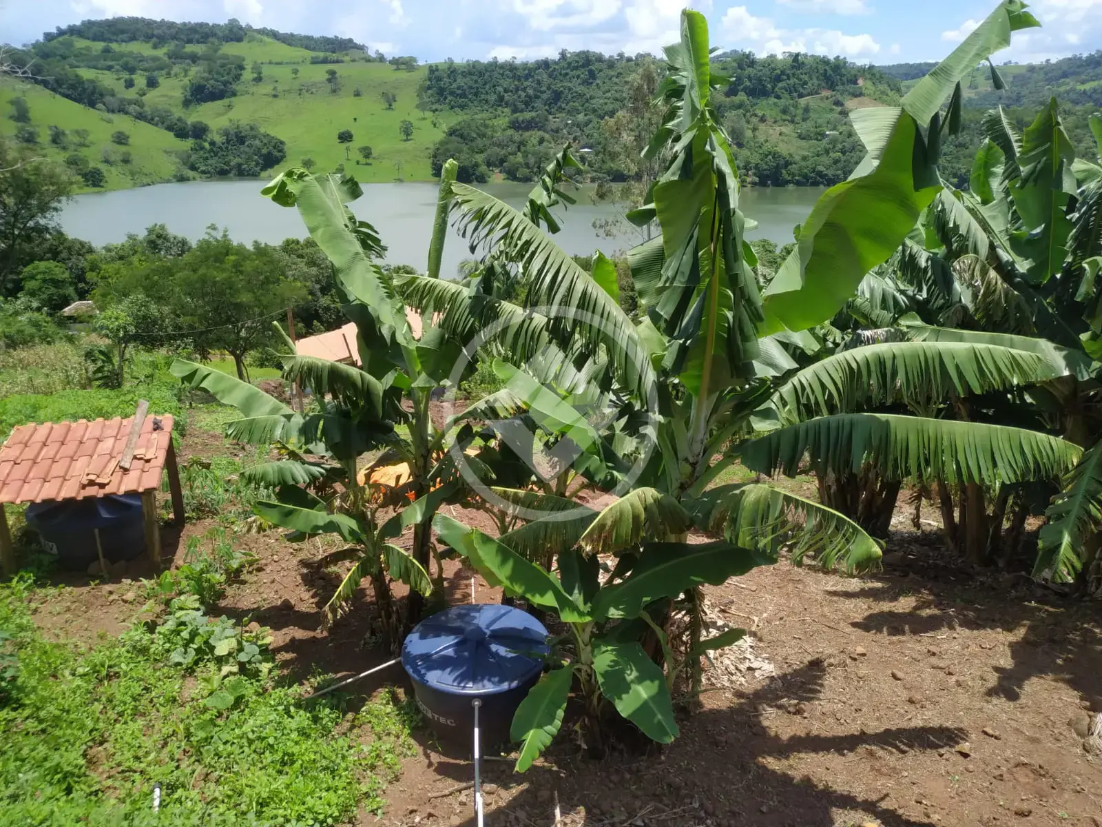 Image 24 - Sítio em Centro, Três Barras do Paraná - PR
