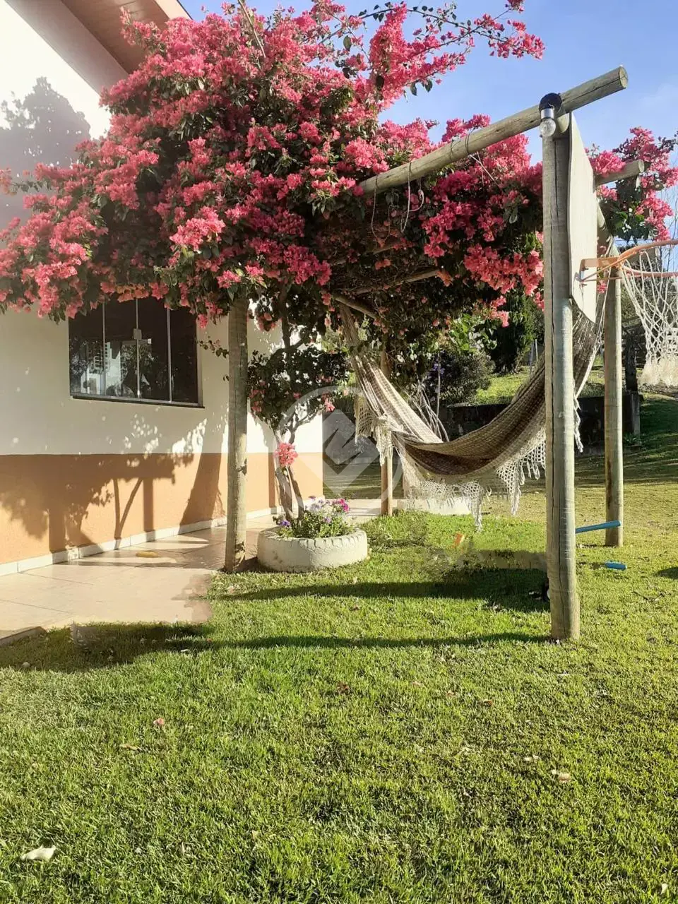 Imagem 5 - Sítio em Centro, Lindoeste - PR