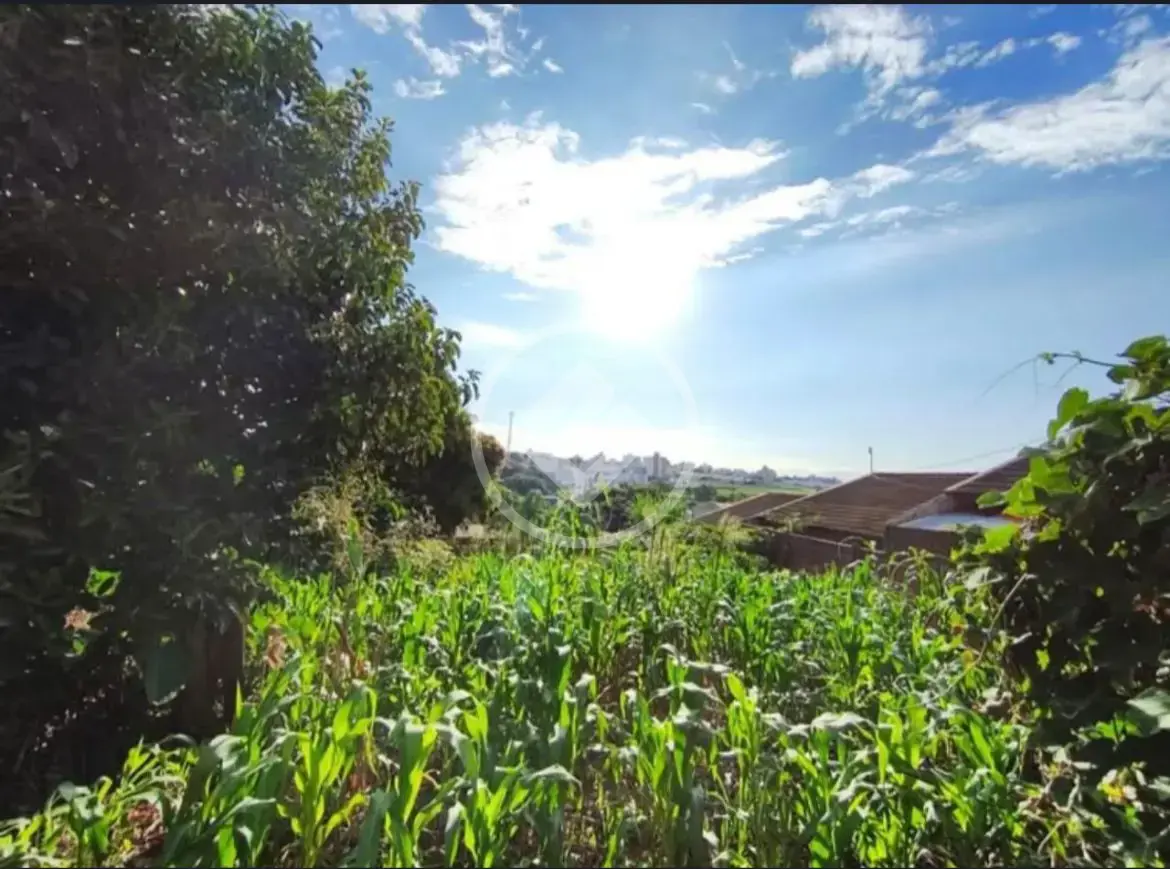 Imagem 1 - Terreno em Bairro Coqueiral, Cascavel - PR