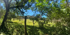 Imagem 6 - Chácara em Área Rural de Cascavel, Cascavel - PR