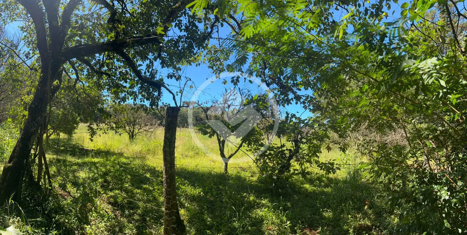 Imagem 6 - Chácara em Área Rural de Cascavel, Cascavel - PR