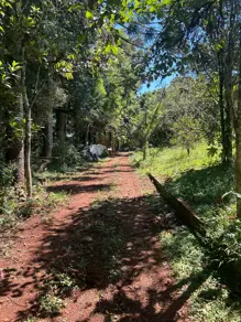 Imagem 4 - Chácara em Área Rural de Cascavel, Cascavel - PR