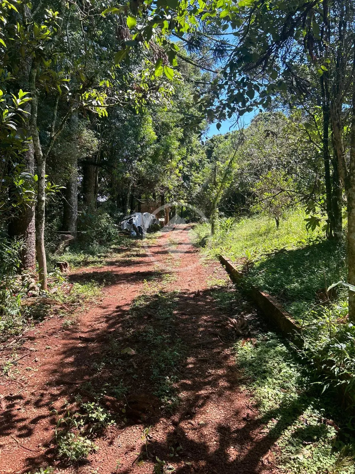 Imagem 4 - Chácara em Área Rural de Cascavel, Cascavel - PR