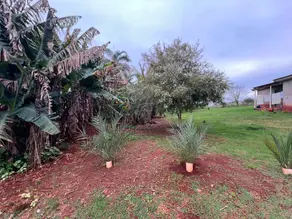Imagem 3 - Casa em Centro, Lindoeste - PR
