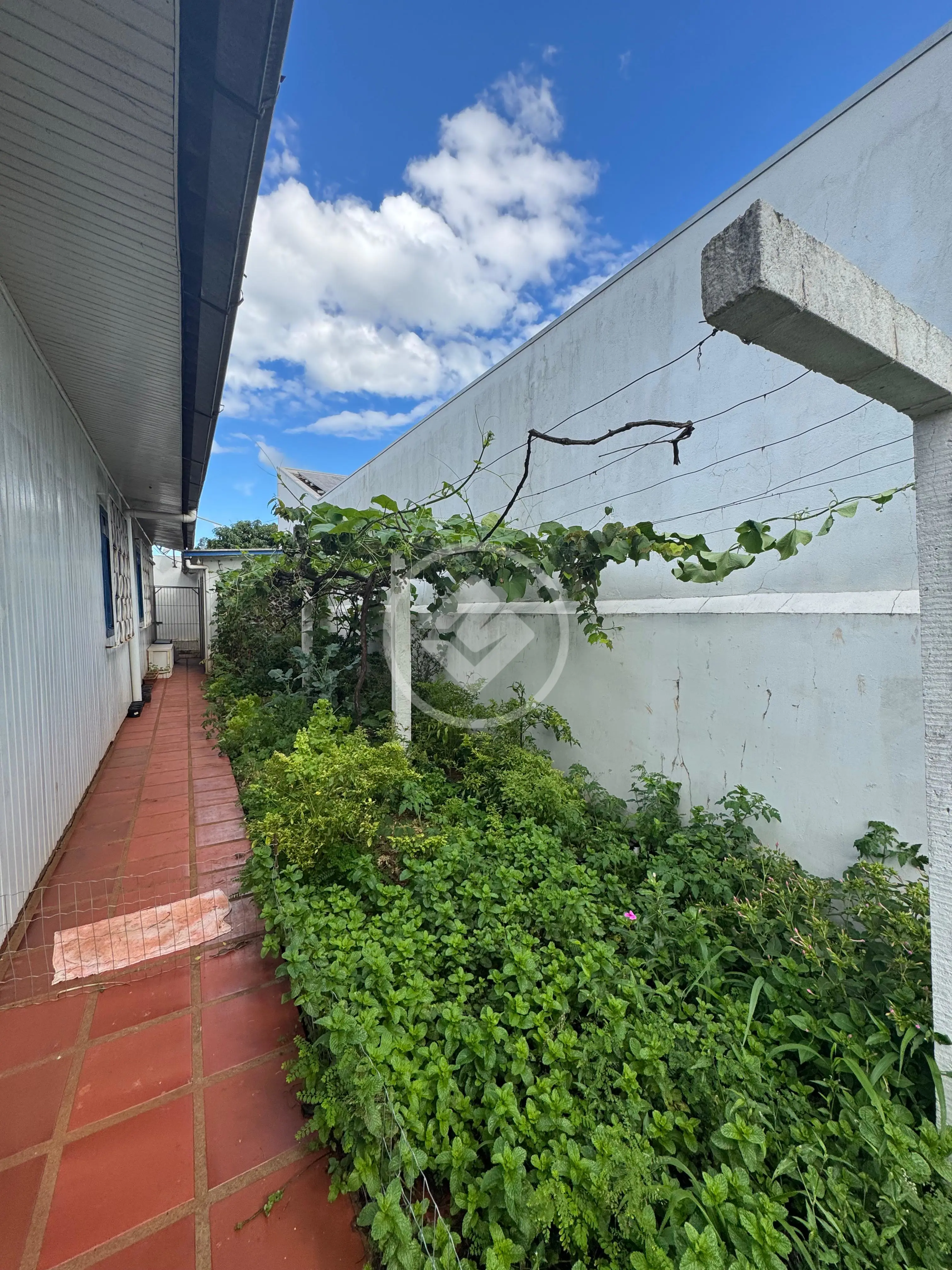 Imagem 6 - Terreno em MARIA LUIZA, Cascavel - PR