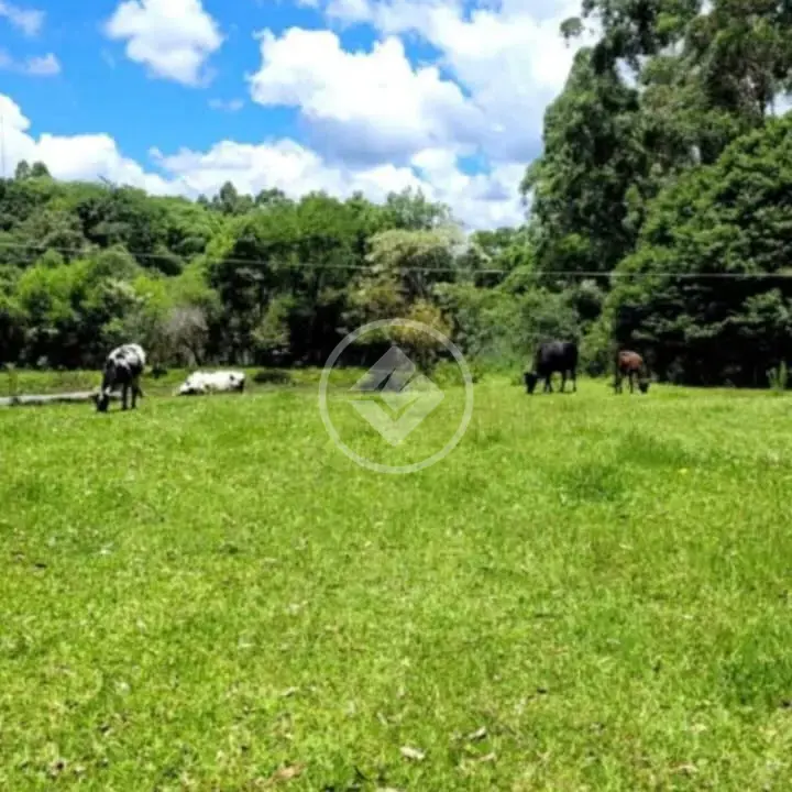 Imagem 1 - Chácara em Progresso, Chapecó - SC
