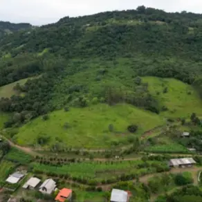 Terreno Goio-En, Chapecó - SC — foto 2
