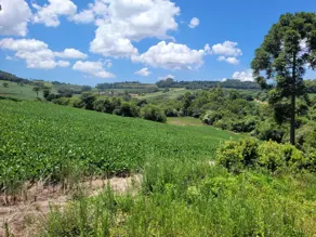 Terreno Figueira, Chapecó - SC — foto 2
