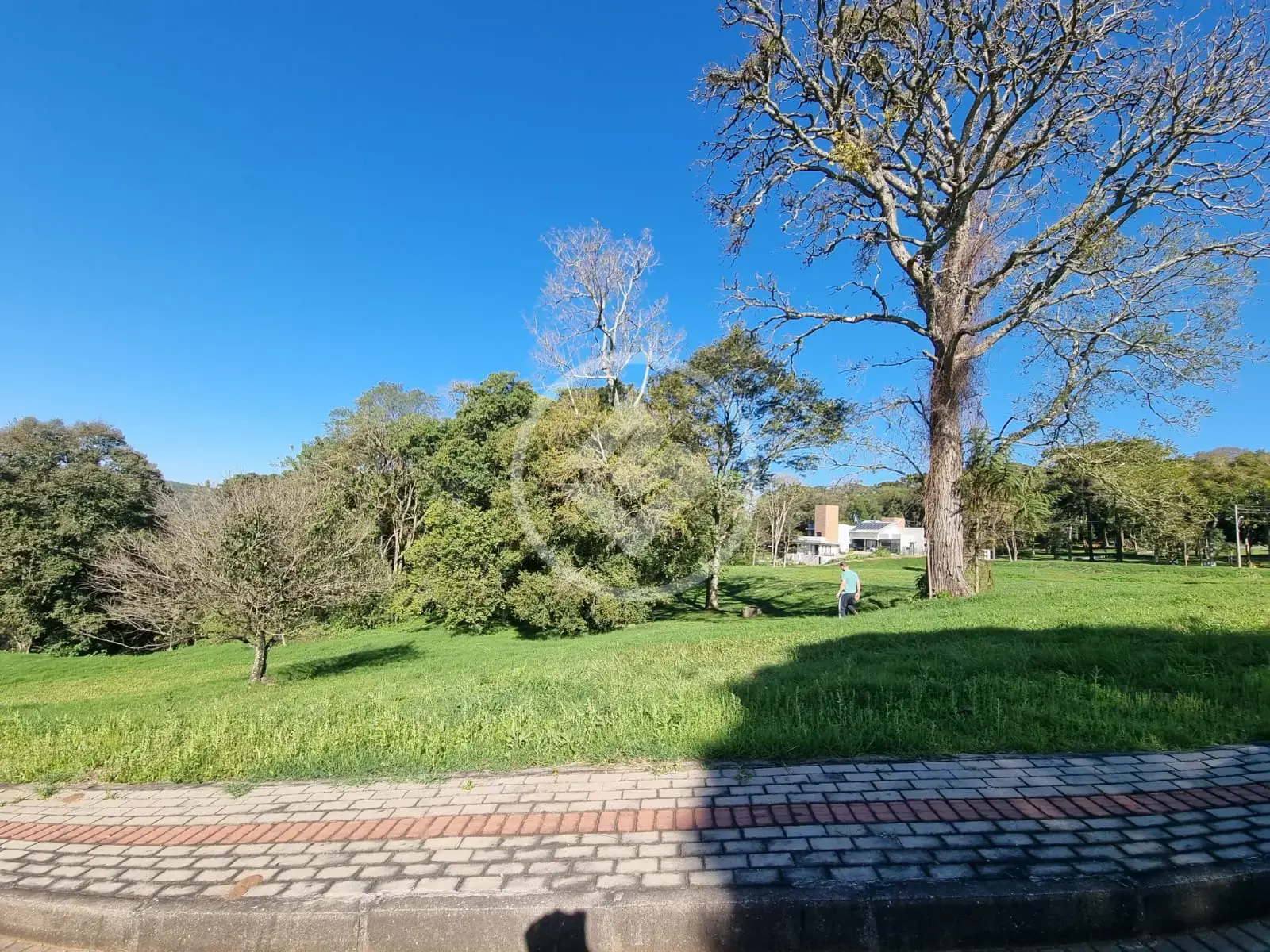 Imagem 1 - Terreno em Rua c  1560, Guatambú - SC