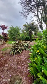 Imagem 5 - Terreno em JARDIM ITÁLIA, Chapecó - SC