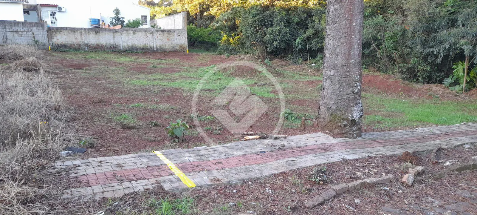 Imagem 1 - Terreno em Santo Antônio, Chapecó - SC
