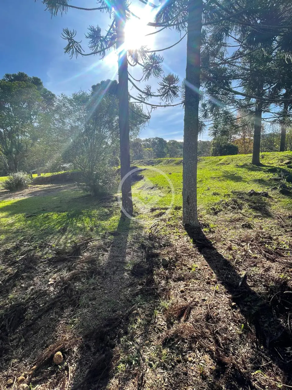 Imagem 3 - Terreno Condomínio em Seminário, Chapecó - SC