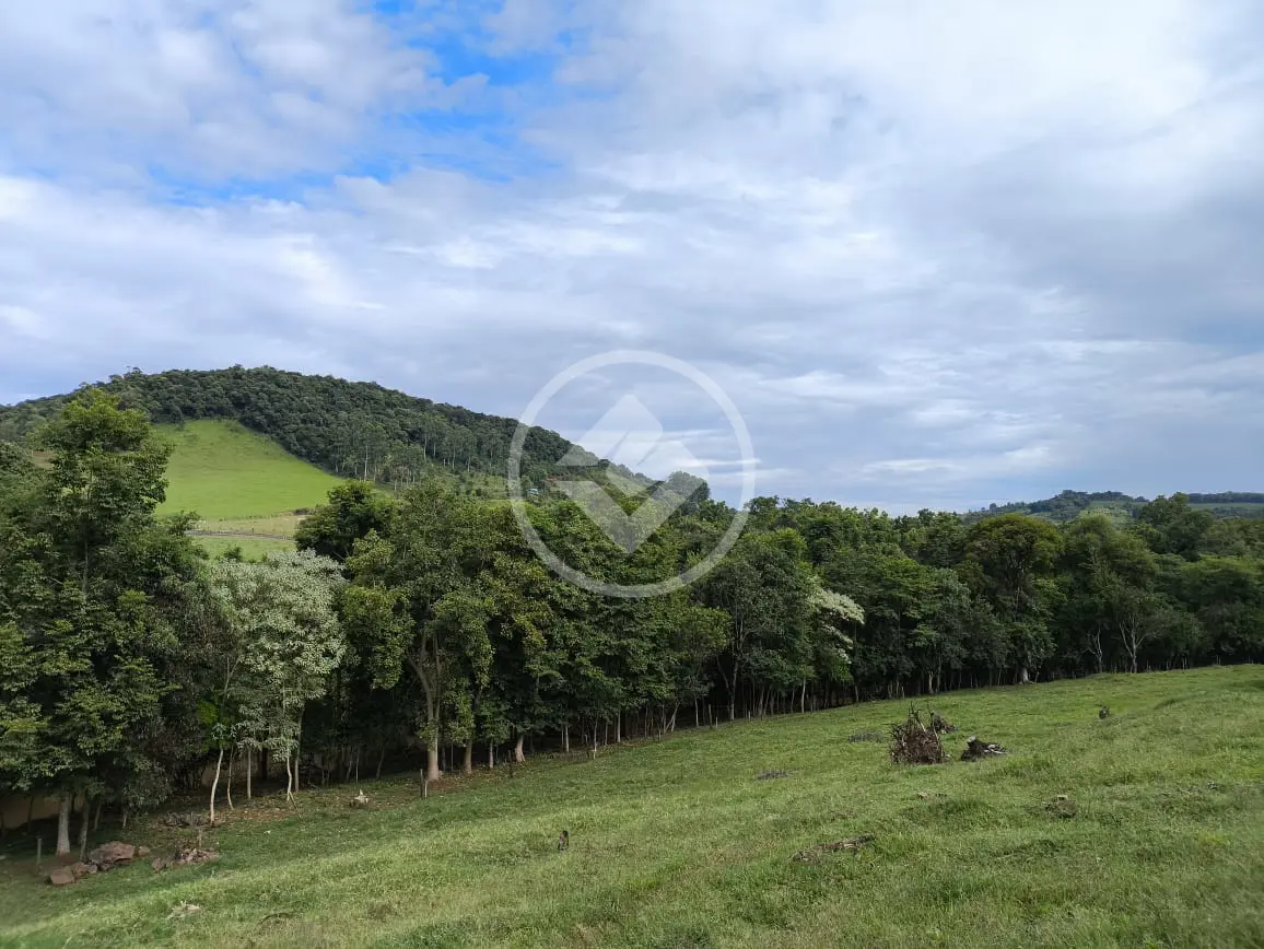 Imagem 5 - Chácara em Interior, Guatambú - SC