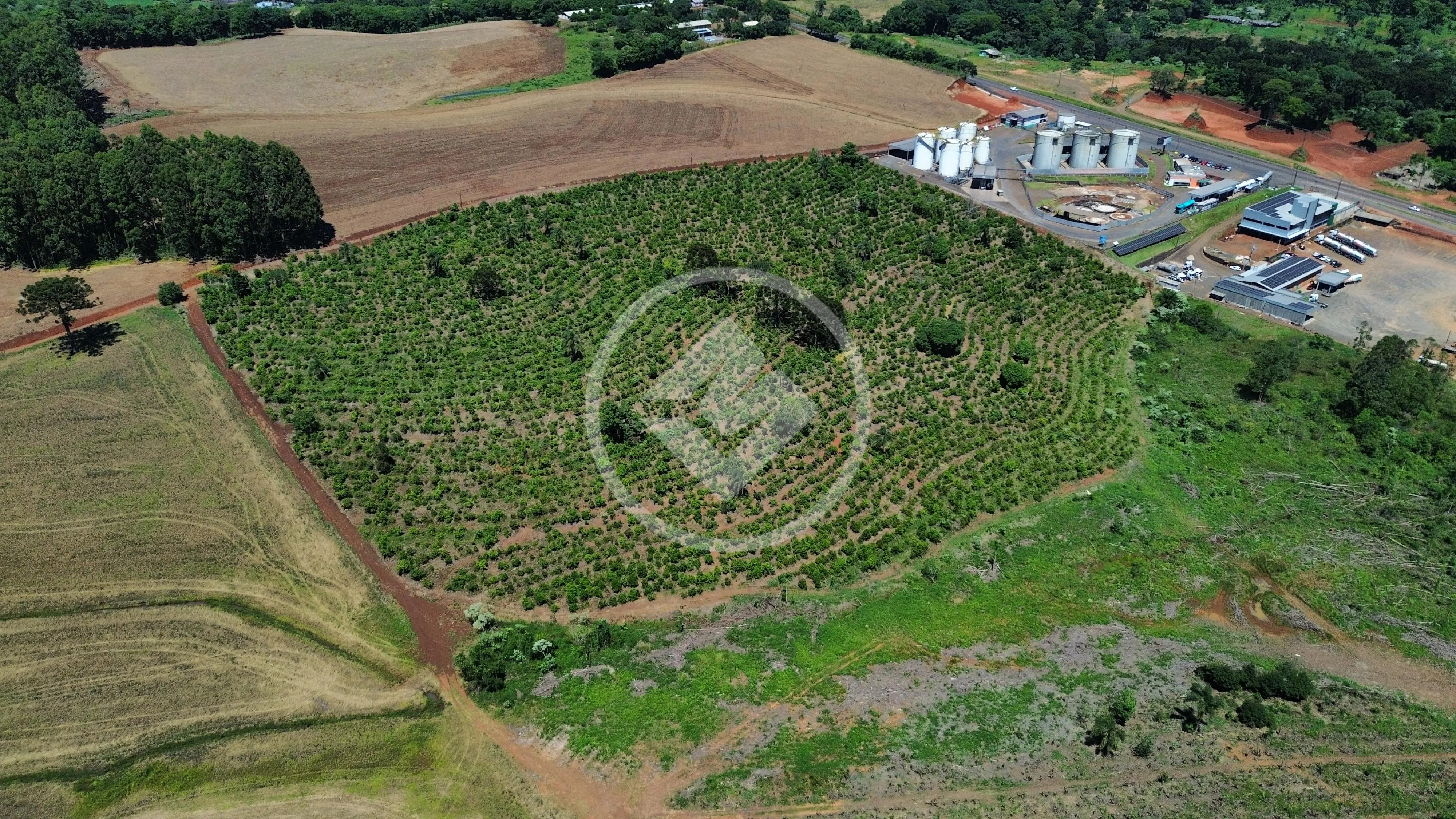Imagem 1 - Terreno em Centro (Marechal Bormann), Chapecó - SC