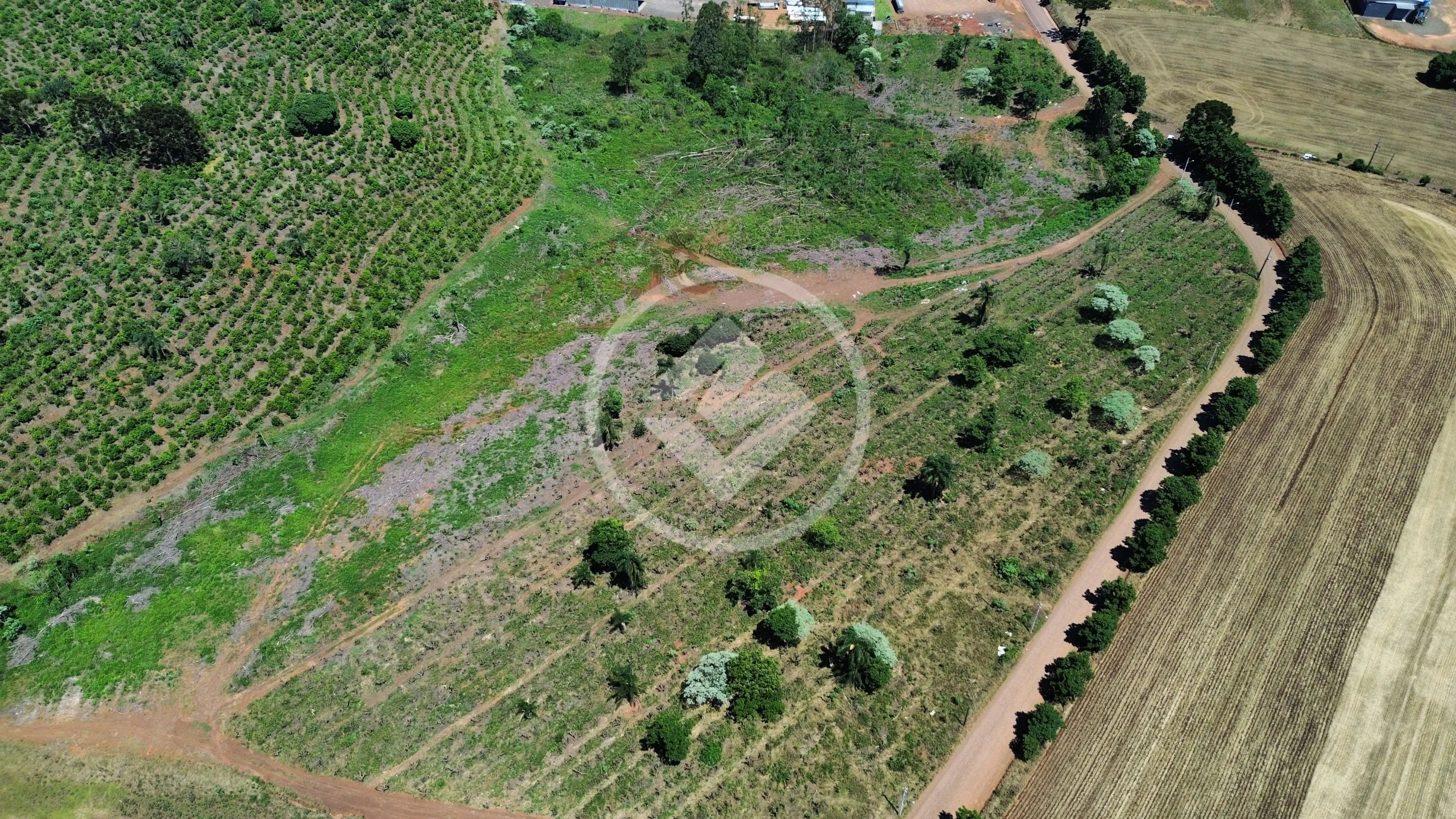 Imagem 4 - Terreno em Centro (Marechal Bormann), Chapecó - SC